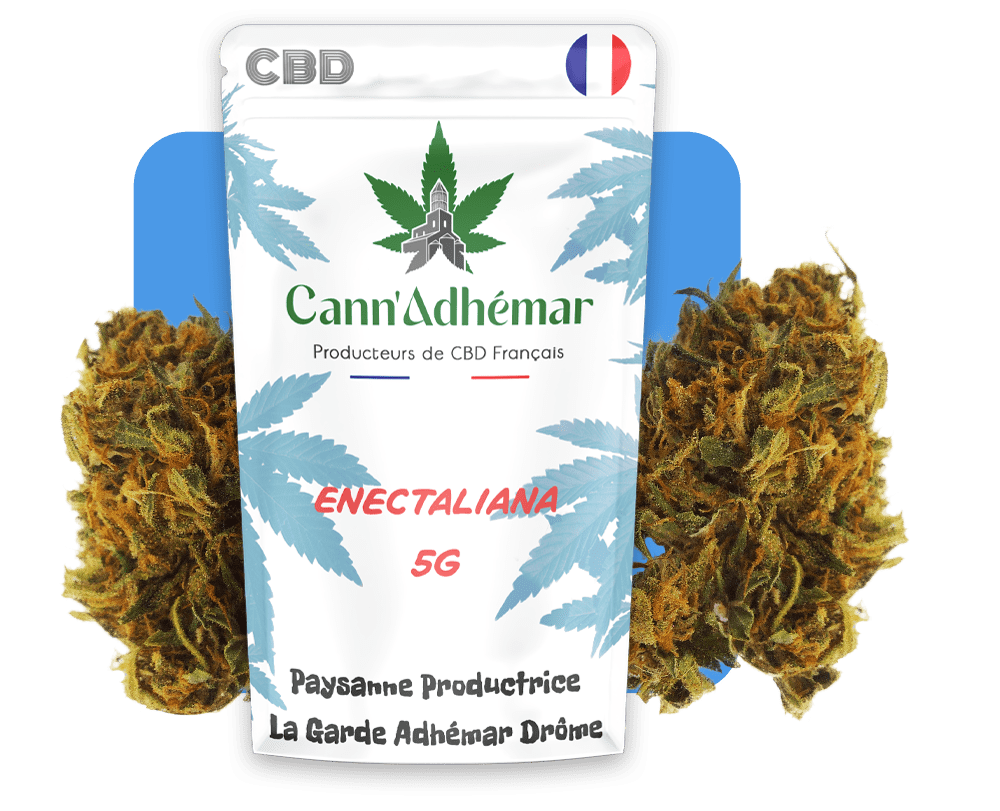 enectaliana